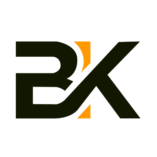 Bk Service International logo